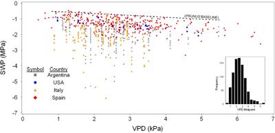 Establishing a Reference Baseline for Midday Stem Water Potential in Olive and Its Use for Plant-Based Irrigation Management